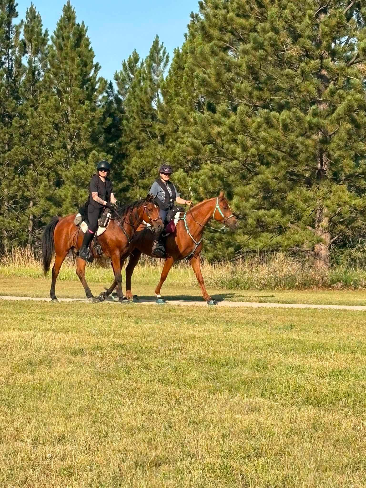 Black Hills Endurance Ride Puts Horse,Rider To The Test